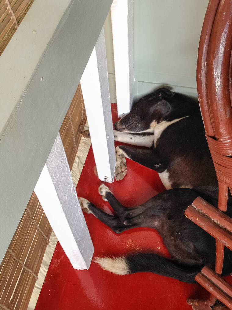 India 2014 - Goa 048.jpg